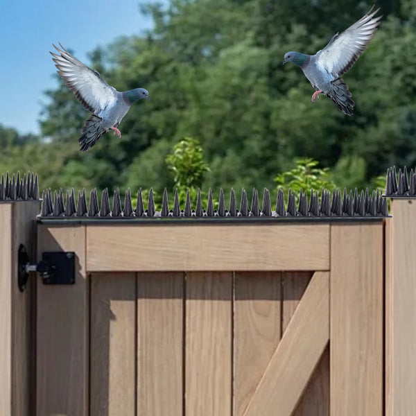 Bird Control Spikes | Eco-Friendly Plastic and Stainless Steel Deterrent | Effective Bird Prevention Spikes for Home and Garden 0