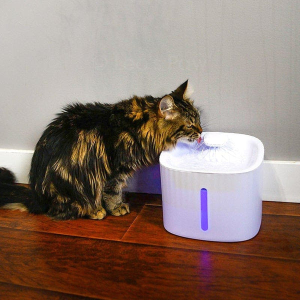 Cat's Automatic Filtered Water Fountain | Innovative LED Hydration Solution 1