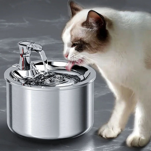 Pet's Stainless Steel Water Fountain | Advanced Hygienic Hydration System 0