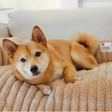 Fluffy Sofa Blanket Bolster Dog Mat Sleek Couch Cover