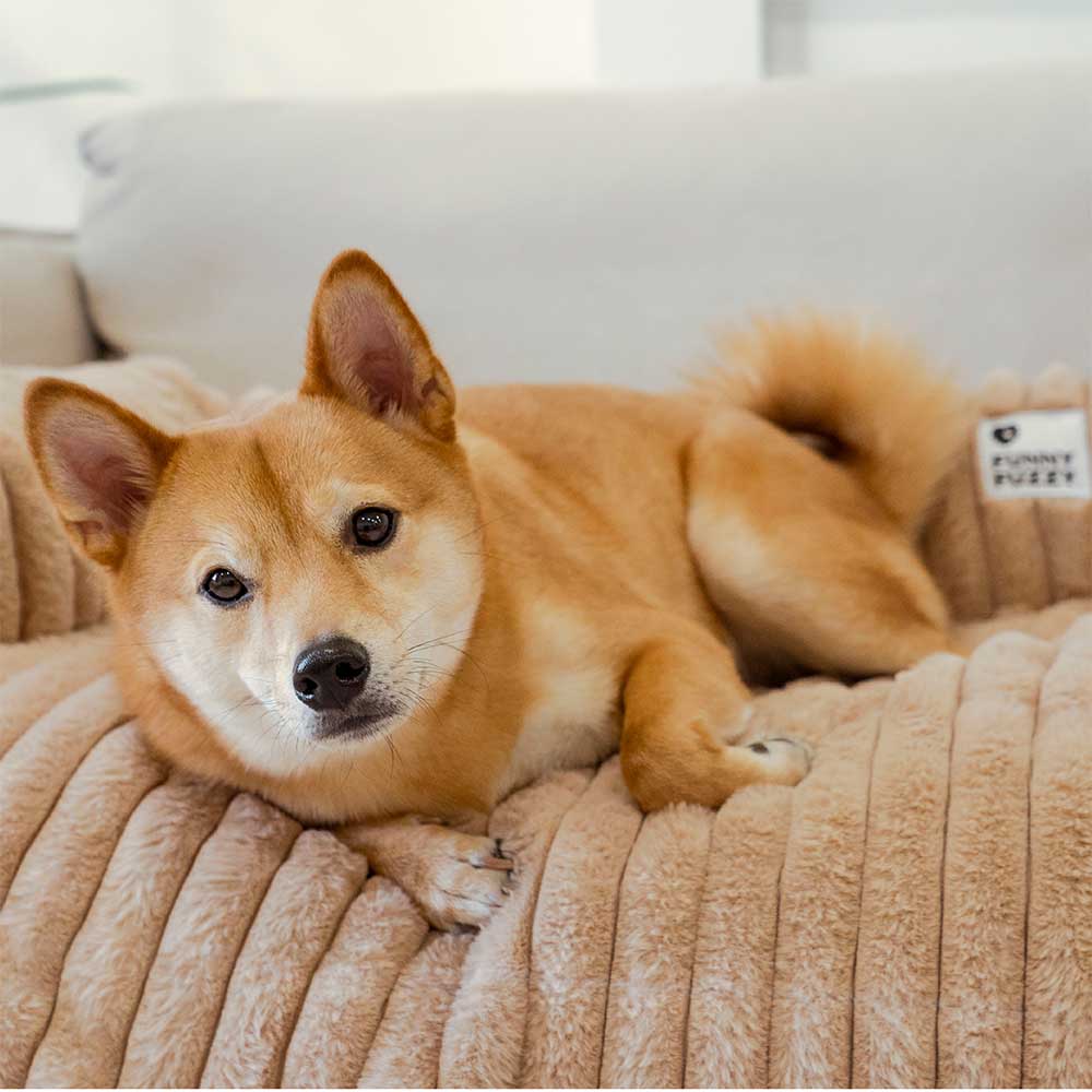 Fluffy Sofa Blanket Bolster Dog Mat Sleek Couch Cover