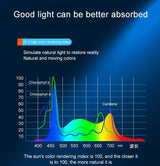 Aquarium Light | Full Spectrum Clip-On LED Lamp | Ultra Bright and Energy Efficient 2