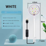 Aquarium Lighting | Full Spectrum LED Clip-On Light | Adjustable and Waterproof 2