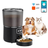 Automatic Smart Pet Feeder | Stainless Steel Bowl | Precision Portion Control 0