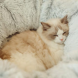 Cat Bed | Plush 2-in-1 Tunnel & Bed | Cozy Interactive Design for Cats 1