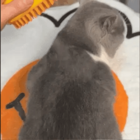 Cat Grooming Brush | Gentle Silicone Bristles for Shedding | Ergonomic Design for All Breeds 5