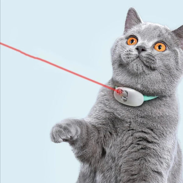 Cat Interactive Laser Collar | Adjustable Lightweight USB Rechargeable Toy 1