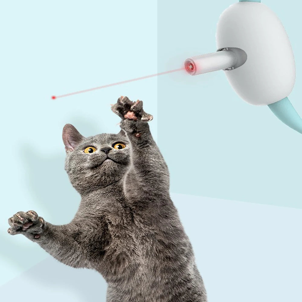 Cat Interactive Laser Collar | Adjustable Lightweight USB Rechargeable Toy 2
