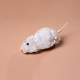 Cat Interactive Toy | Automatic Racing Mouse | Engaging and Durable 3