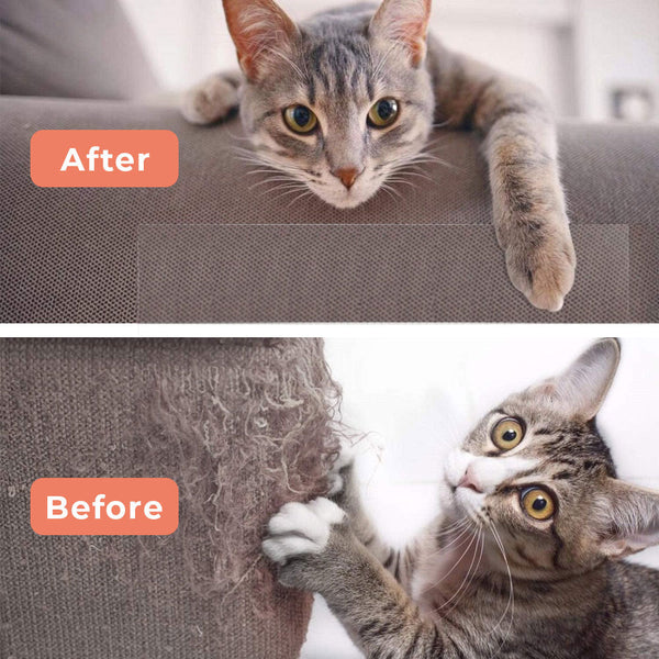 Cat Scratch Protector | Durable Transparent Furniture Guard | Essential Home Accessory for Scratch Prevention 1