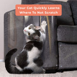 Cat Scratch Protector | Durable Transparent Furniture Guard | Essential Home Accessory for Scratch Prevention 2