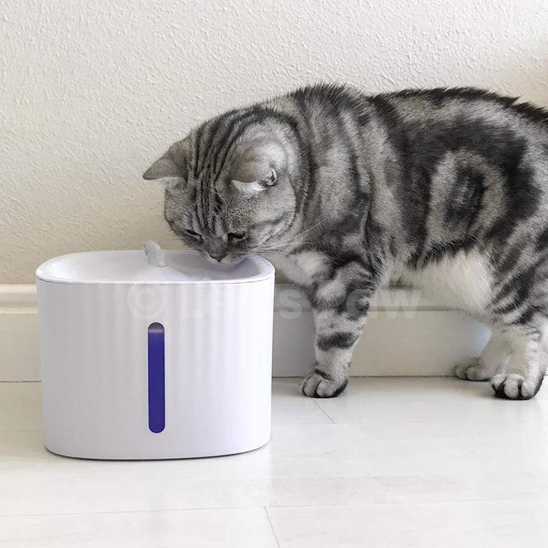 Cat's Automatic Filtered Water Fountain | Innovative LED Hydration Solution 2