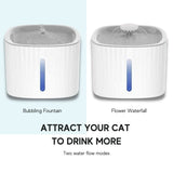 Cat's Automatic Filtered Water Fountain | Innovative LED Hydration Solution 4