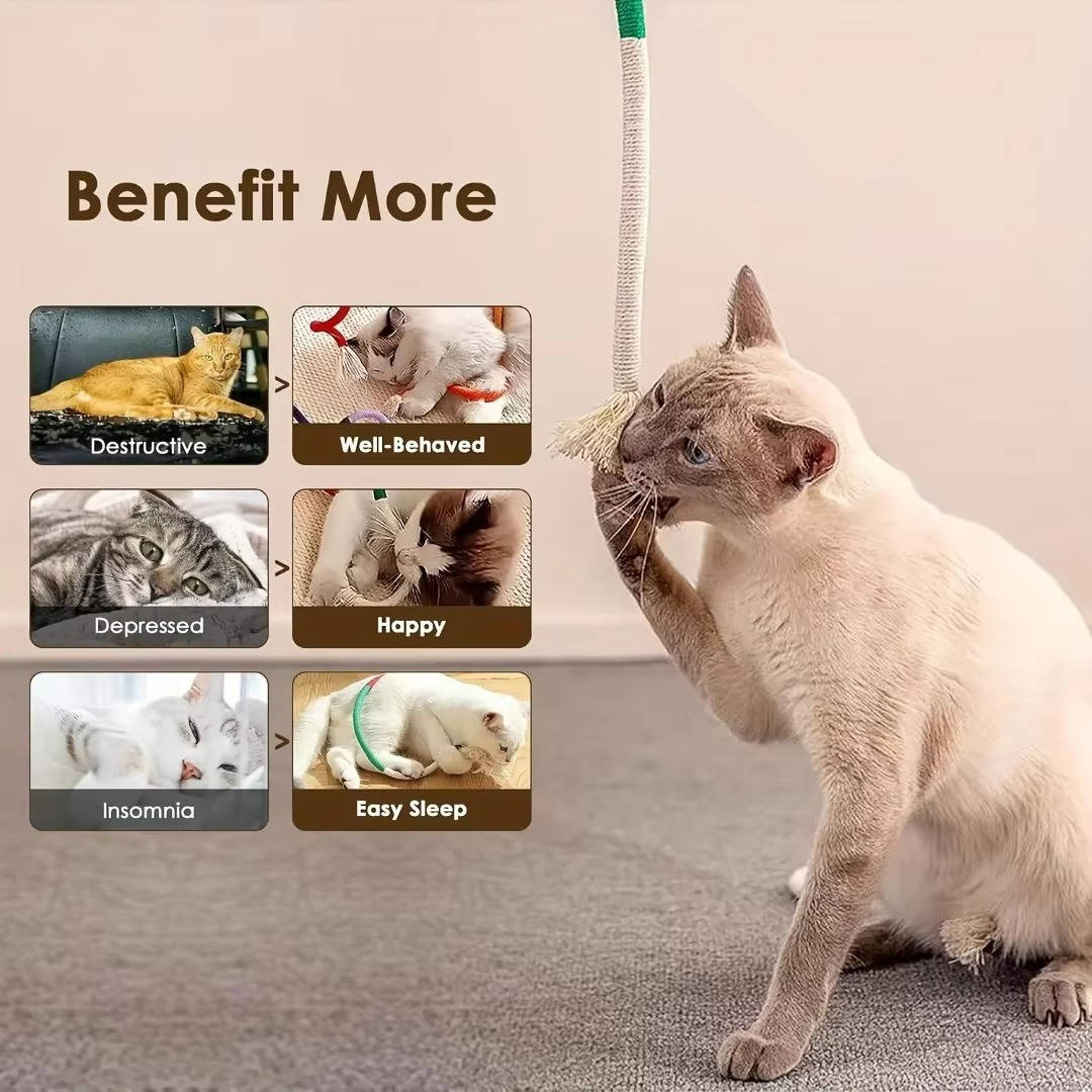 Cat's Chew Toy Set | Durable Cotton Rope with Silvervine Balls 2