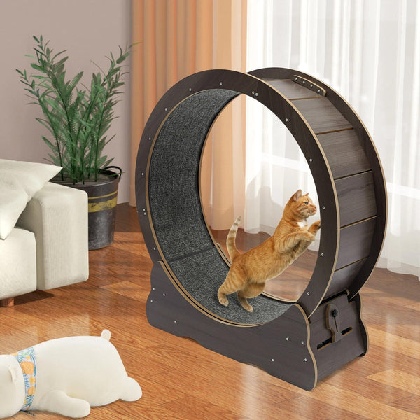Cat's Indoor Exercise Wheel | Quiet Rolling System for Active Play 0