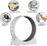 Cat's Indoor Exercise Wheel | Quiet Rolling System for Active Play 1