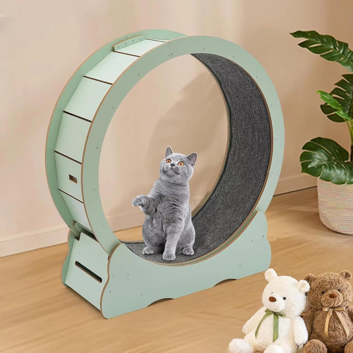 Cat's Indoor Exercise Wheel | Quiet Rolling System for Active Play 2