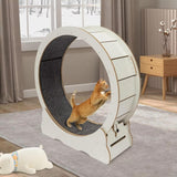 Cat's Indoor Exercise Wheel | Quiet Rolling System for Active Play 3