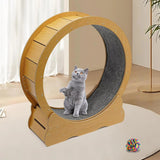 Cat's Indoor Exercise Wheel | Quiet Rolling System for Active Play 4