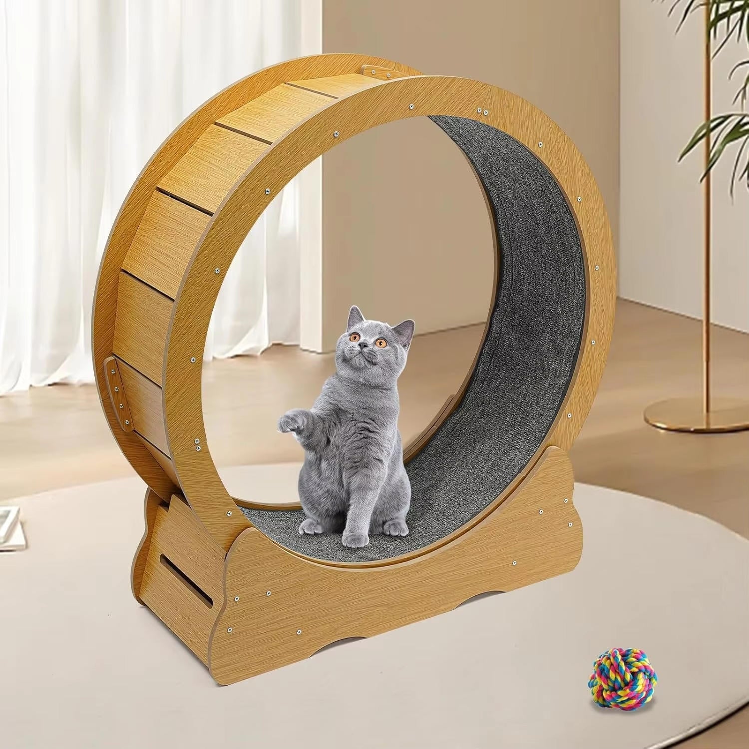 Cat's Indoor Exercise Wheel | Quiet Rolling System for Active Play 4