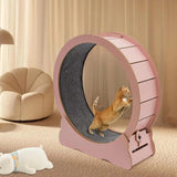 Cat's Indoor Exercise Wheel | Quiet Rolling System for Active Play 5