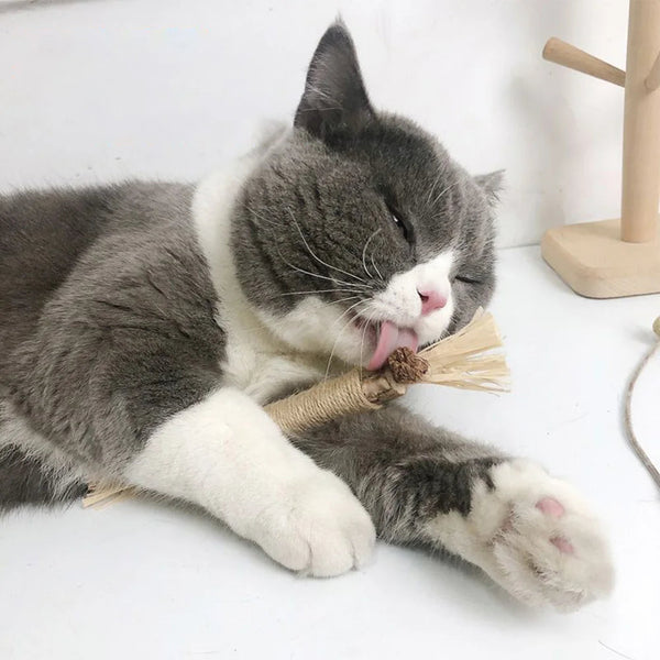 Cat's Natural Silvervine Chew Toys | Safe Teething and Dental Care 0