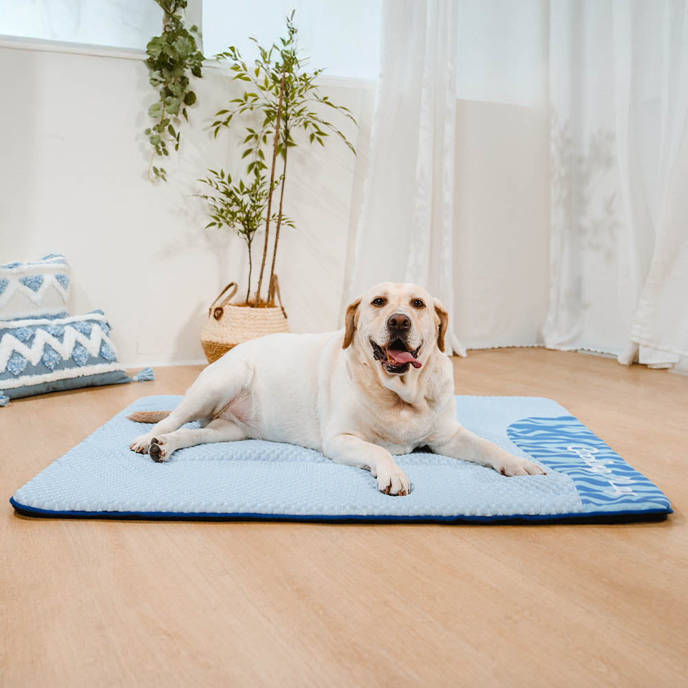 Cooling Dog Mat | Large Washable Non-Slip Bed | Breathable Lightweight Design for Summer 7