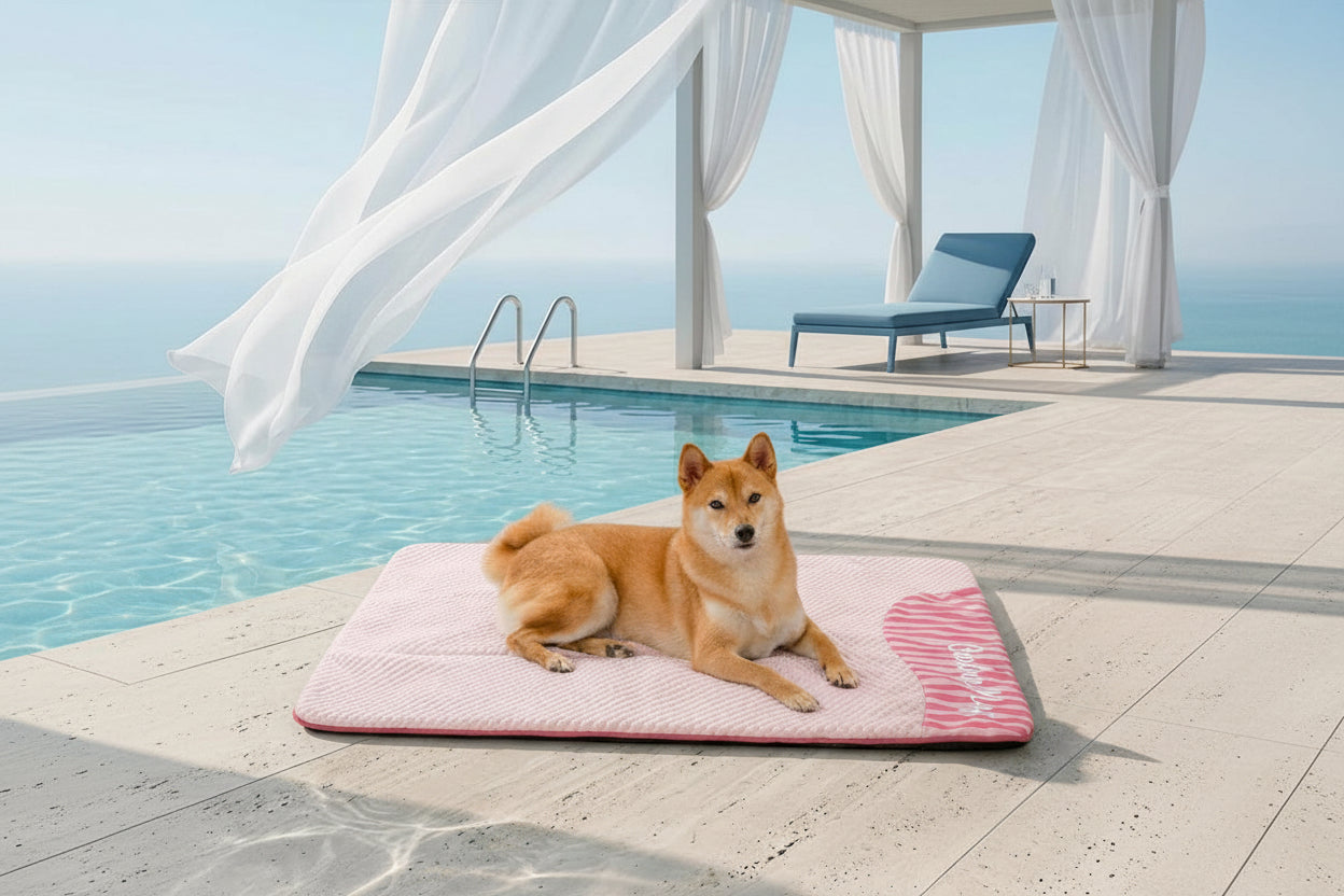 Cooling Dog Mat | Large Washable Non-Slip Bed | Breathable Lightweight Design for Summer 9