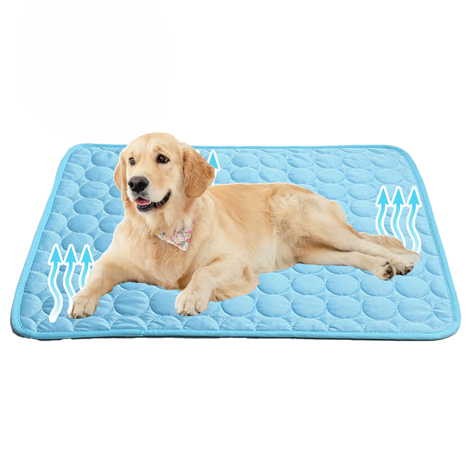 Cooling Dog Mat | Pressure-Activated Gel Pet Bed | Comfortable Portable Cooling Solution 1