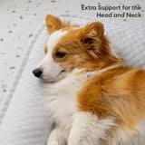 Cooling Ice Silk Dog Bed | Supportive Non-Slip Pet Lounger for Comfortable Resting 3
