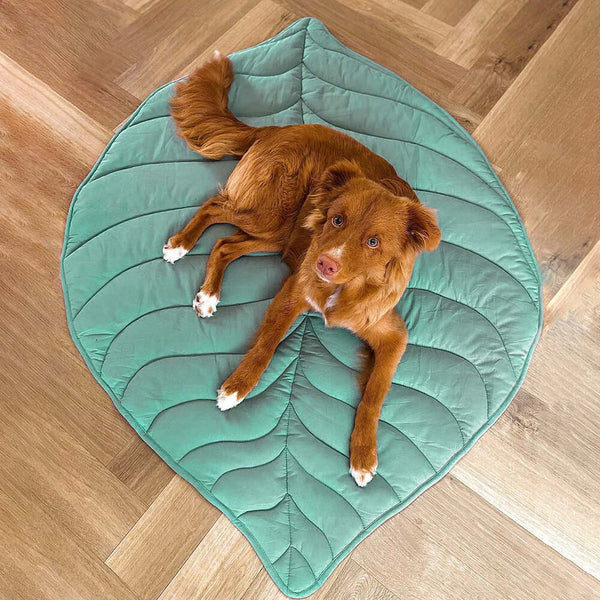 Cozy Fleece Dog Blanket | Soft Leaf-Shaped Design for Ultimate Comfort 1
