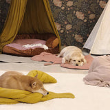 Cozy Fleece Dog Blanket | Soft Leaf-Shaped Design for Ultimate Comfort 5