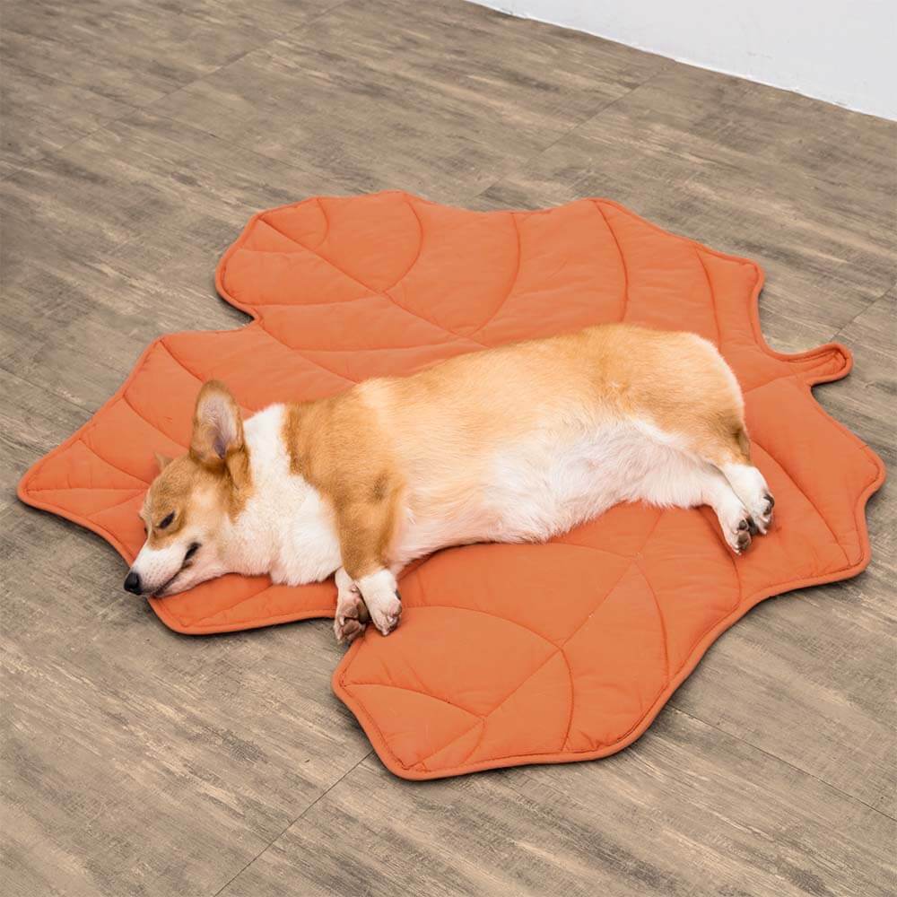 Cozy Fleece Dog Blanket | Soft Leaf-Shaped Design for Ultimate Comfort 8