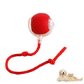 Dog Automatic Walker | Versatile Indoor Pet Exercise Device