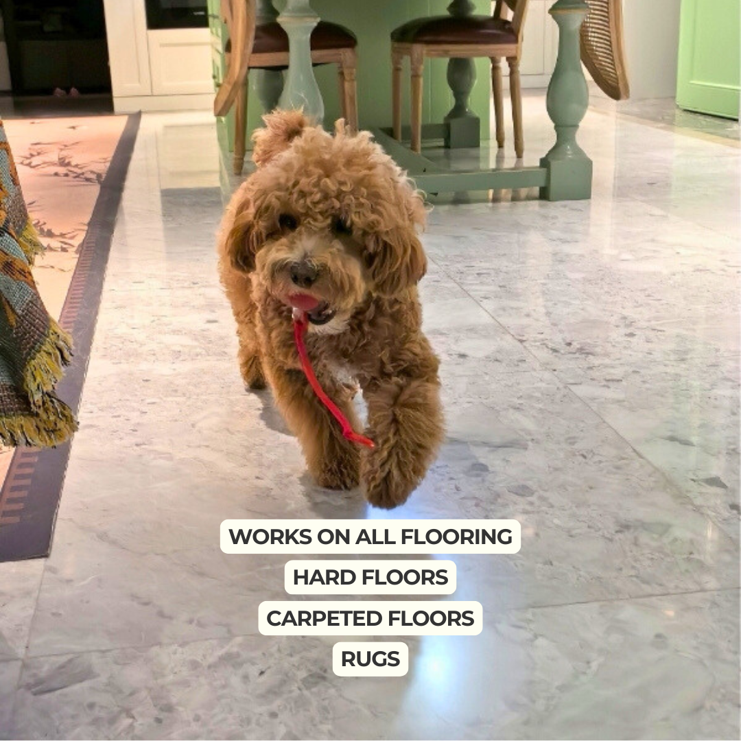 Dog Automatic Walker | Versatile Indoor Pet Exercise Device 4