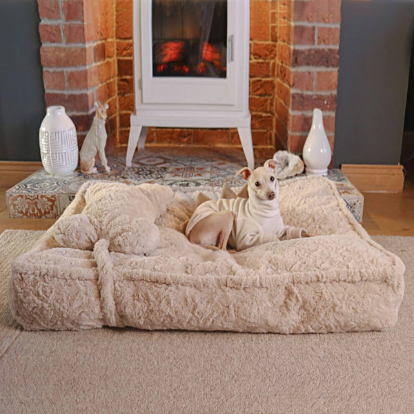 Dog Bed | Fluffy Synthetic Wool Calming Bed | Soft Cloud Shape Design | Cozy and Supportive 1