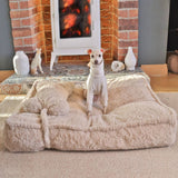 Dog Bed | Fluffy Synthetic Wool Calming Bed | Soft Cloud Shape Design | Cozy and Supportive 2