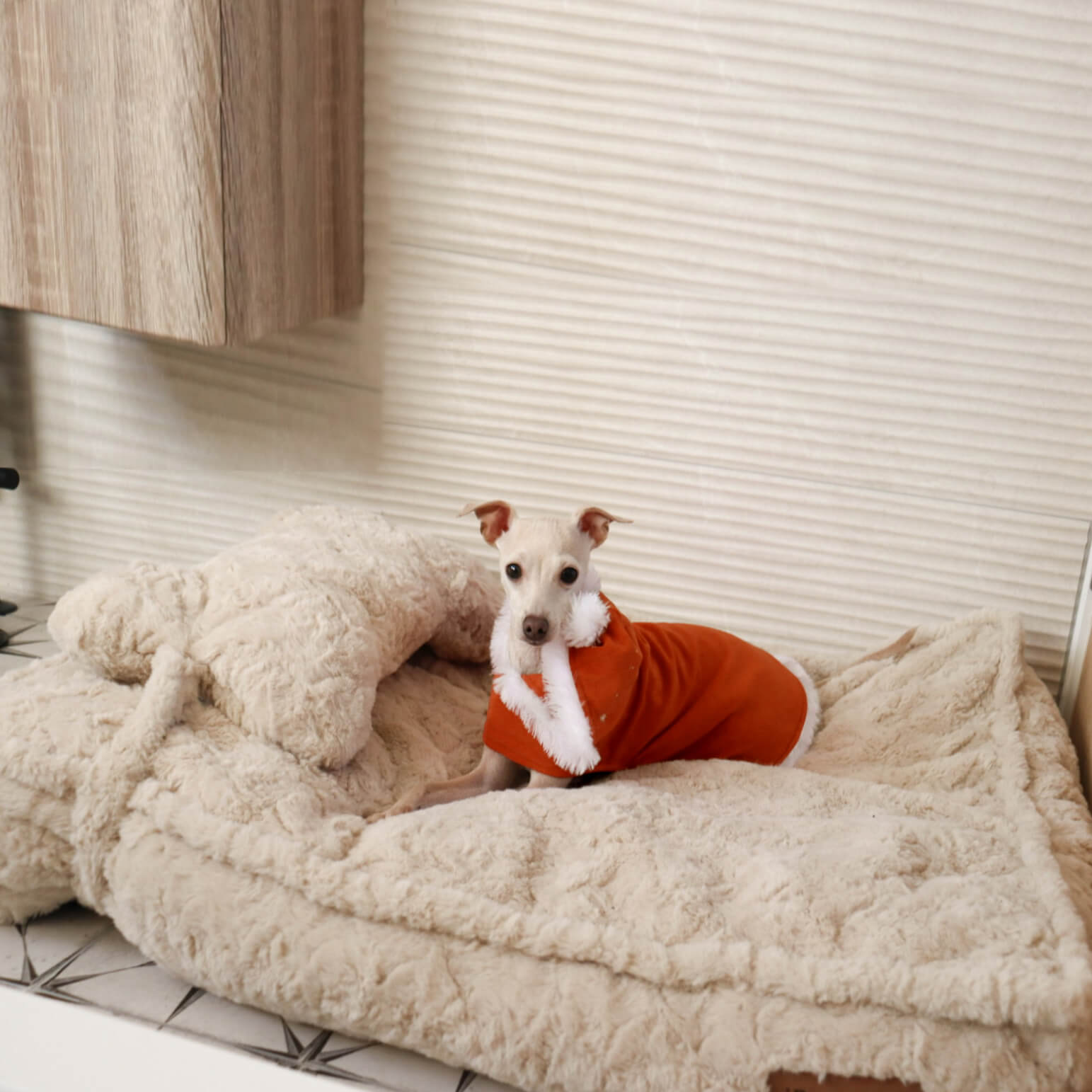Dog Bed | Fluffy Synthetic Wool Calming Bed | Soft Cloud Shape Design | Cozy and Supportive 3