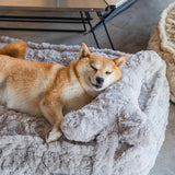 Dog Bed | Fluffy Synthetic Wool Calming Bed | Soft Cloud Shape Design | Cozy and Supportive 5