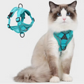 Dog Harness and Leash Set | Breathable Mesh Vest with Reflective Strips | Comfortable Adjustable Fit