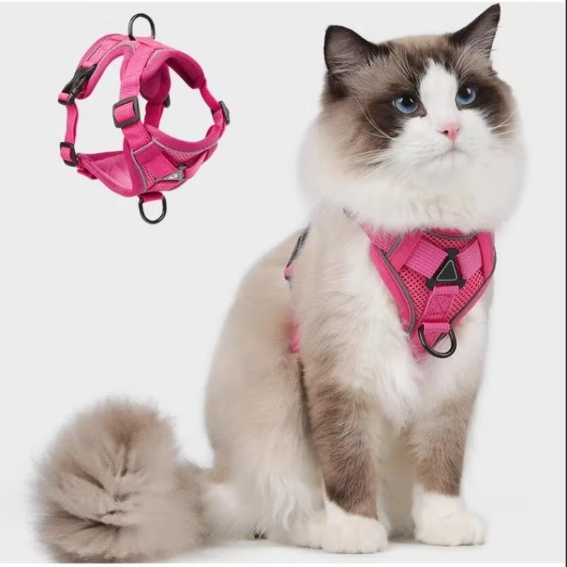 Dog Harness and Leash Set | Breathable Mesh Vest with Reflective Strips | Comfortable Adjustable Fit 11