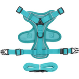 Dog Harness and Leash Set | Breathable Mesh Vest with Reflective Strips | Comfortable Adjustable Fit 2