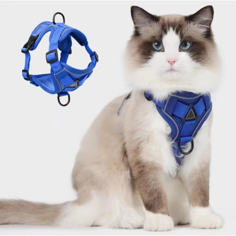 Dog Harness and Leash Set | Breathable Mesh Vest with Reflective Strips | Comfortable Adjustable Fit 7