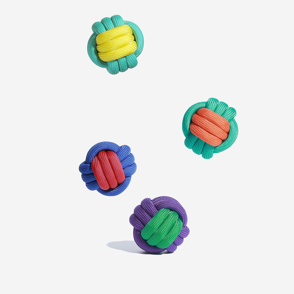 Dog Toy | Durable Braided Polypropylene Fetch Ball | Colorful Interactive Play Toy 1