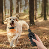 Dog Training Collar | Waterproof Electric E Collar | Adjustable Shock Levels for All Dogs 1