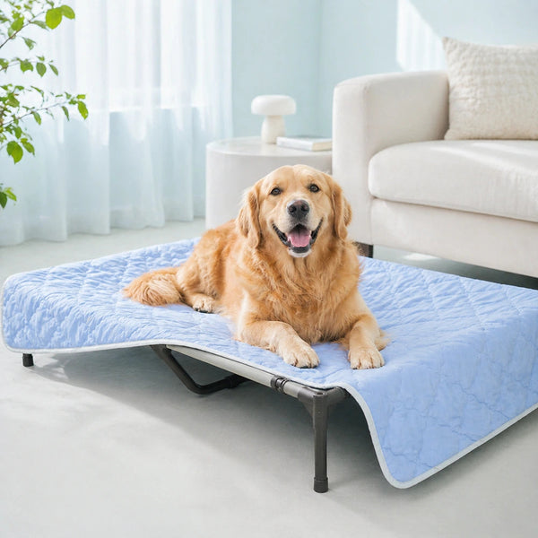 Dog's Cooling Fabric Blanket | Soft Double-Sided Summer Comfort for Pets 0