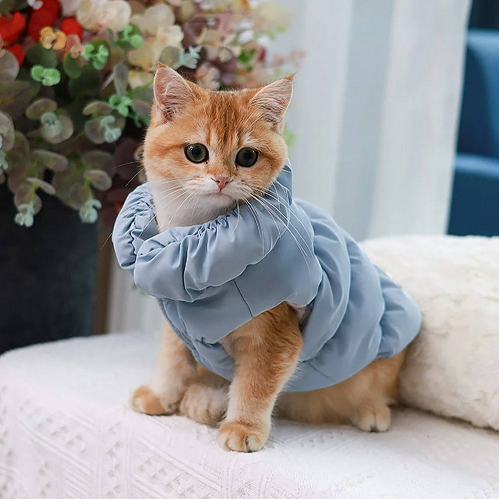 Dog's Cotton Winter Jacket | Cozy Two-Leg Design for Small and Medium Breeds 2