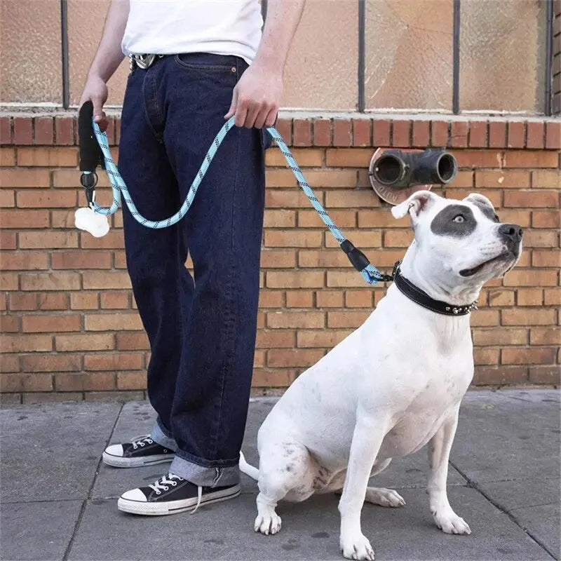 Dog's Durable Nylon Leash | Reflective Padded Handle for Comfort 1