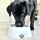 Dog's Durable Plastic Water Bowl | Innovative Non-Splash Spill-Proof Design 0