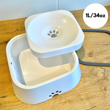 Dog's Durable Plastic Water Bowl | Innovative Non-Splash Spill-Proof Design 2